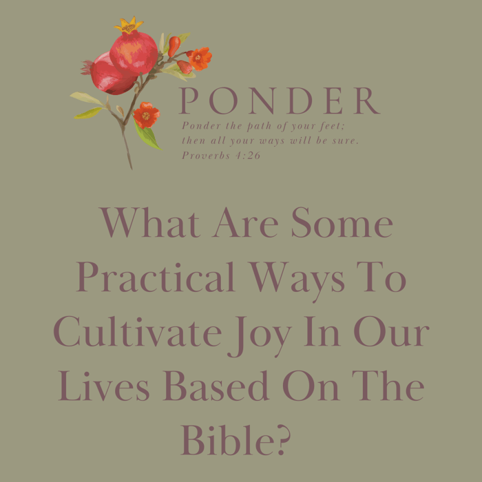Ponder: What are some practical ways to cultivate joy in our lives based on the Bible?