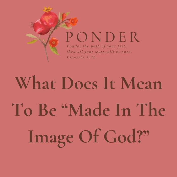 Ponder This: What Does It Mean To Be Made In The Image Of God?