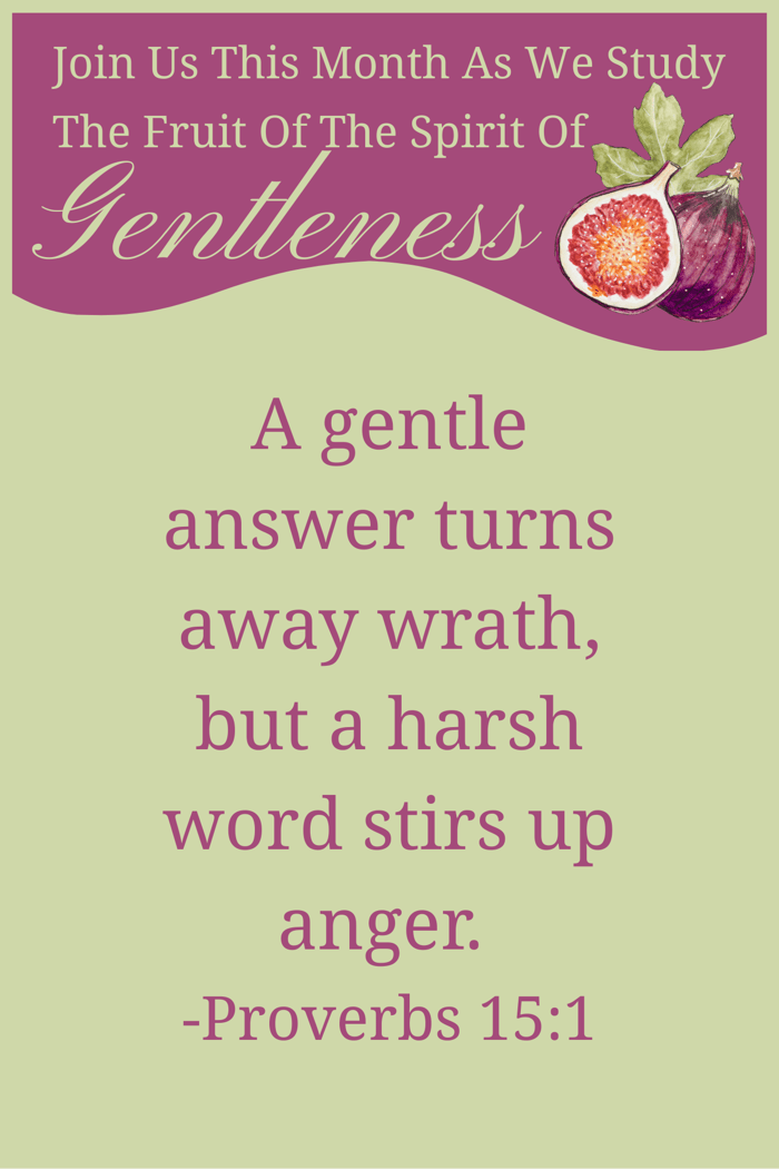 Proverbs 15:1 | Speaking With The Heart Of Jesus