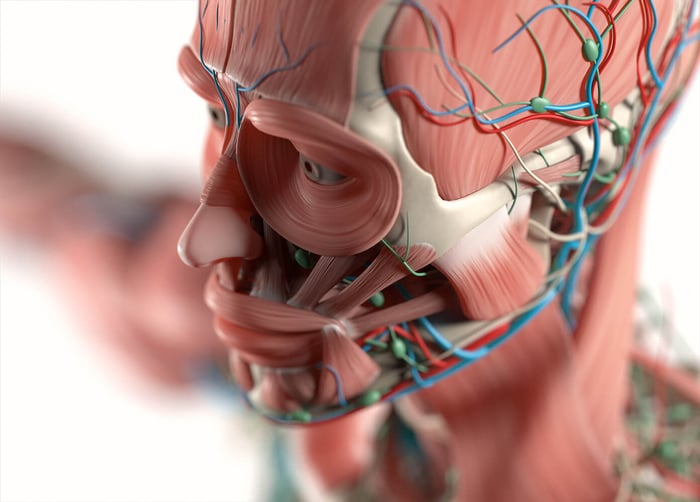 How do UK Med Schools teach anatomy and dissection? (2019-2020)