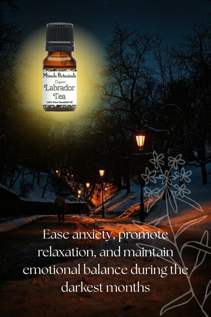 Dark winter street with street lights lit and snow on the ground, an amber bottle of Labrador Tea essential oil by Miracle Botanicals, and the text “ease anxiety, promote relaxation, and maintain emotional balance during the darkest months"
