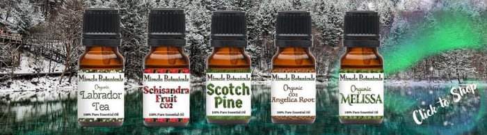 Essential oils for winter depression. A snowy lake with amber bottles of Labrador Tea, Schisandra Fruit, Scotch Pine, Angelica Root, and St. John’s Wort essential oils by Miracle Botanicals. Text reads “Click to Shop"