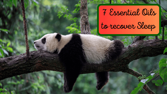 7 Essential Oils To Improve Sleep