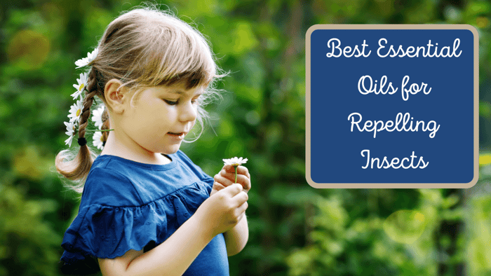 The Best Essential Oils for Repelling Bugs