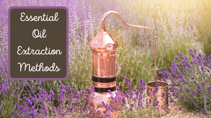 Essential Oil Extraction Methods