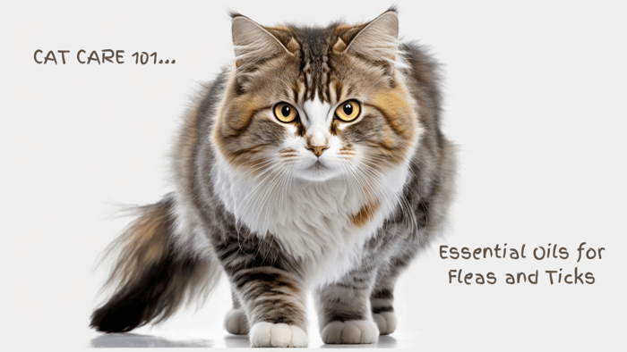 Cat Care 101: Essential Oils for Fleas and Ticks