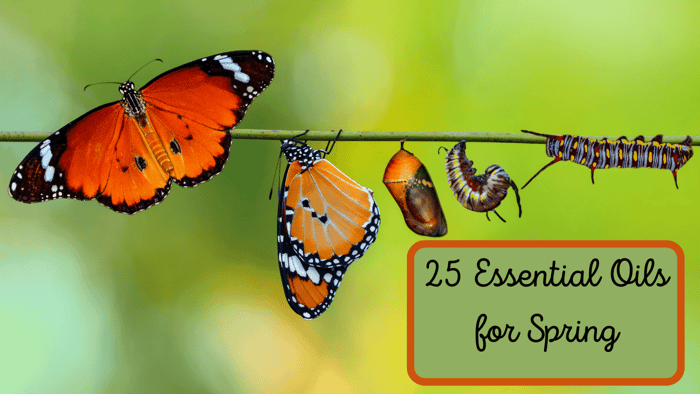 25 Essential Oils for Spring