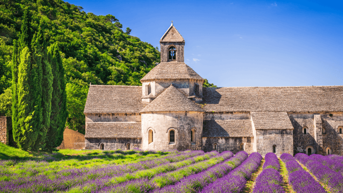 Benefits of Fine French Lavender Essential Oil