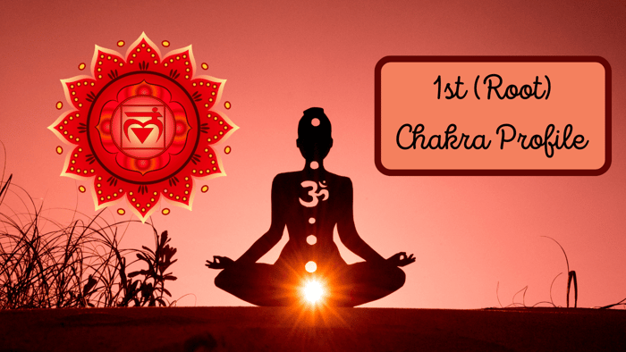 Healing the Root Chakra!