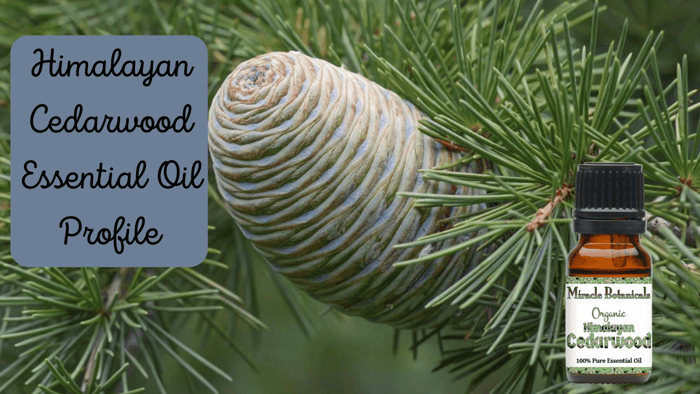 Himalayan Cedarwood Essential Oil Profile