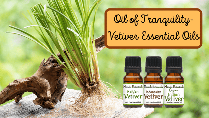 Oil of Tranquility - Vetiver Essential Oils