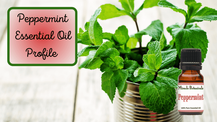 Peppermint Essential Oil Profile