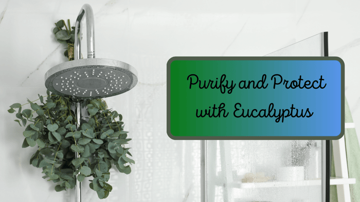 Purifying with Eucalyptus