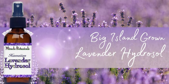 lavender hydrosol big island essential oils