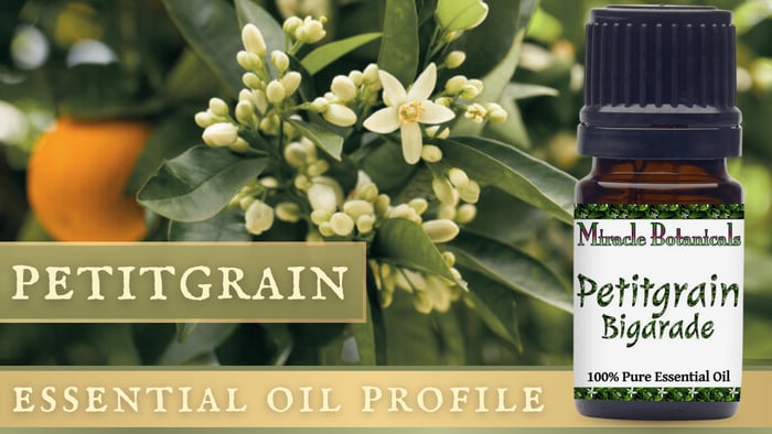 petitgrain essential oil