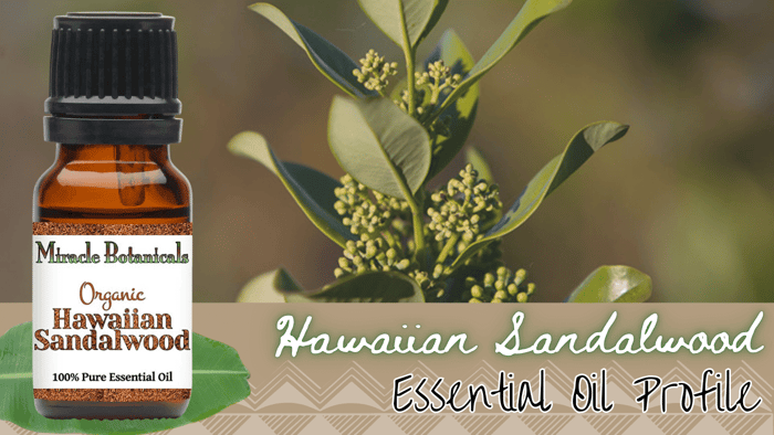 Royal Hawaiian Sandalwood Essential Oil Profile