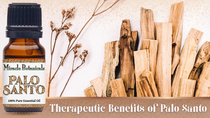 Therapeutic Benefits of Palo Santo Essential Oil