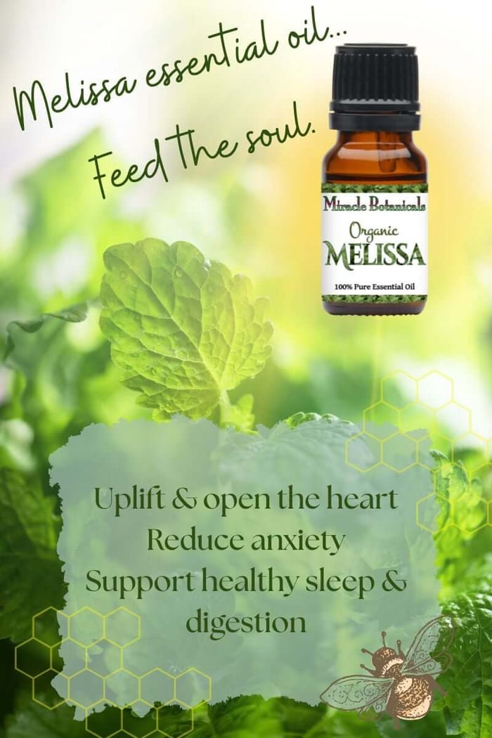 Fresh lemon balm plant with amber bottle of Organic Melissa essential oil by Miracle Botanicals, text reads “Melissa essential oil… Feed the soul. Uplift & open the heart, reduce anxiety, support healthy sleep & digestion”.