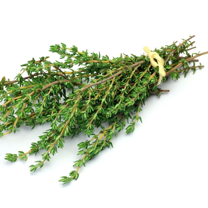 How To Grow Thyme From Cuttings