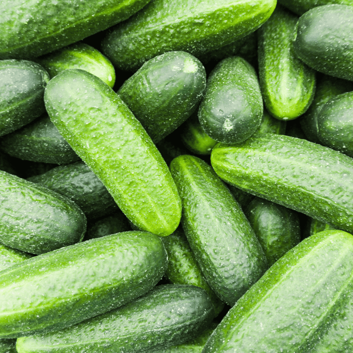 Are Marketmore Cucumbers Bush or Vine?