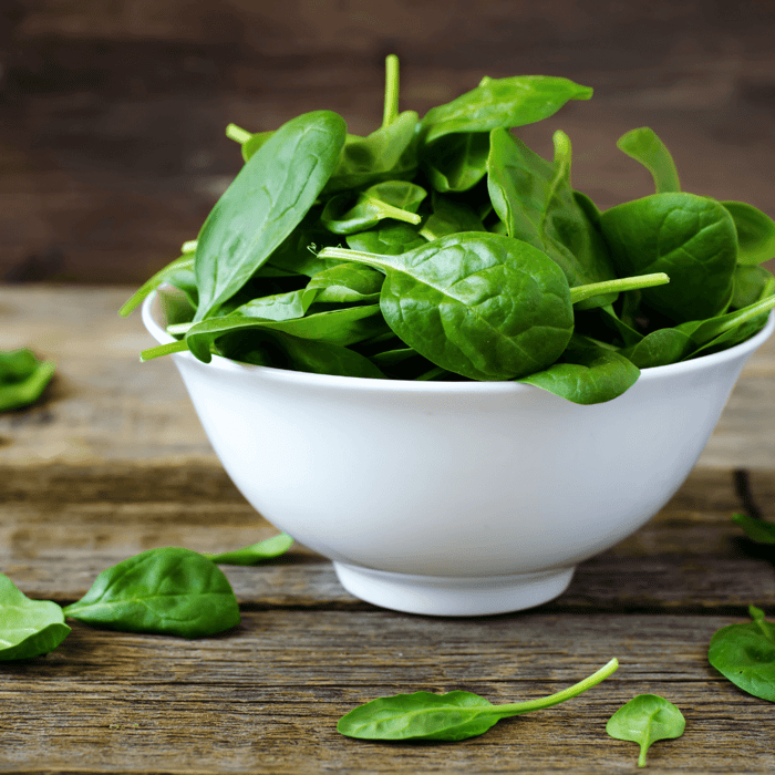 How to Grow Bloomsdale Long Standing Spinach