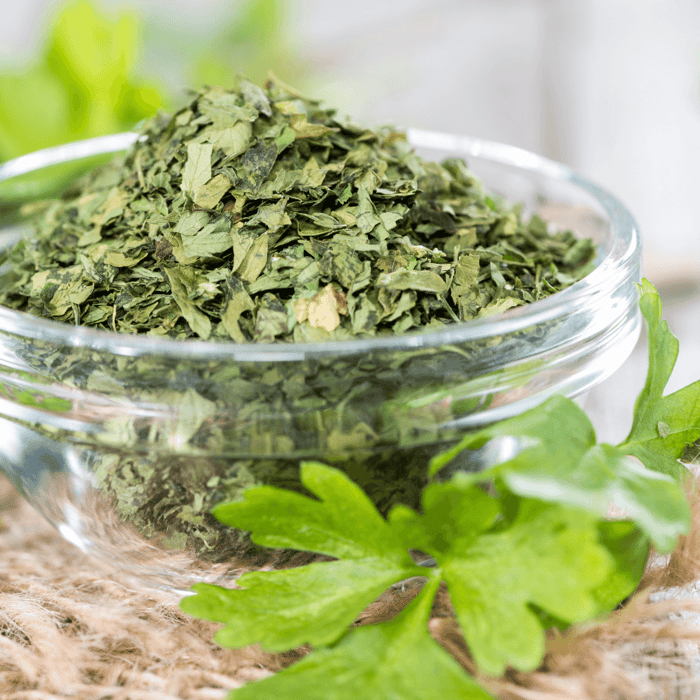 How to Grow Italian Flat Leaf Parsley - Gardeners Basics