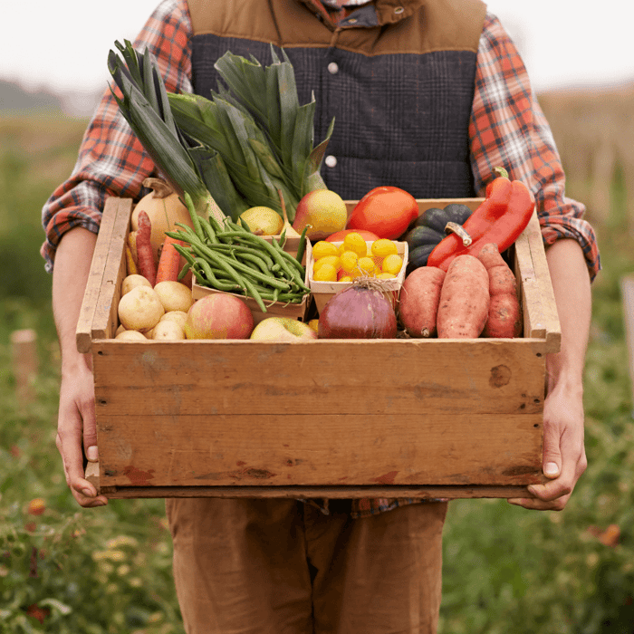 Are All Heirloom Seeds Non-GMO - Gardeners Basics