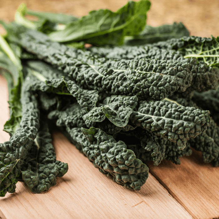 How to Grow Lacinato Kale from Seed (Dinosaur Kale)