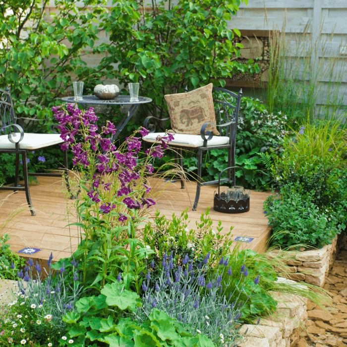 10 Common Mistakes to Avoid for a Thriving Patio Garden