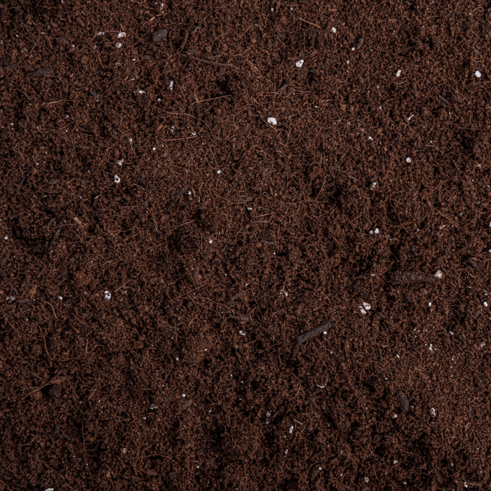 Seed Starting Mix vs Potting Soil, Which is Better for Seed Starting