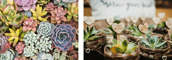 DIY Wedding Favors: Unique Ideas with Glass Jars from Jar Store