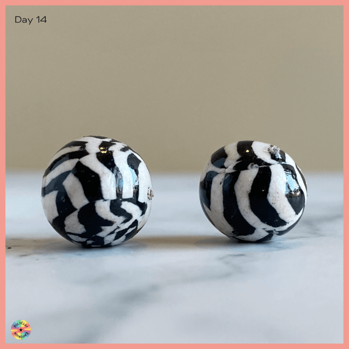 Confused Zebra black and white beads of polymer clay