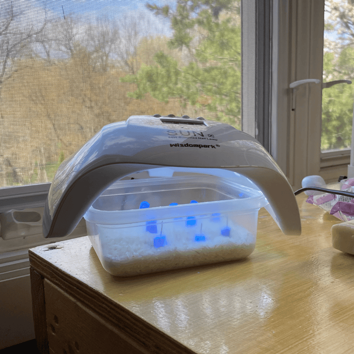 Curing under the UV light