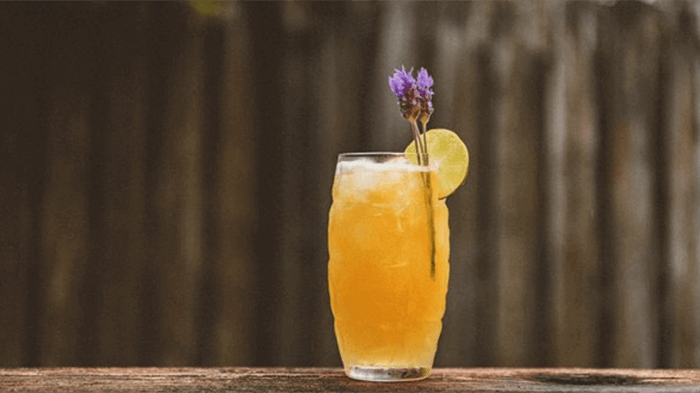 Paloma Cocktail with a Twist - Recipe