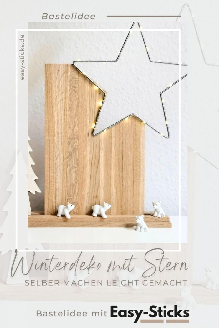 Winterdeko mit Stern - Selber machen leicht gemacht