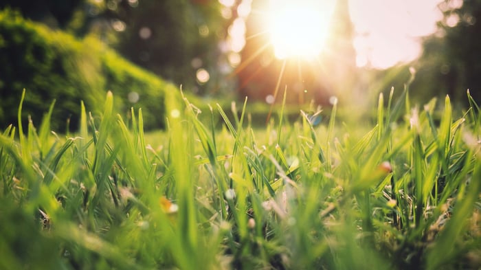 Breathe new life into your garden this spring!