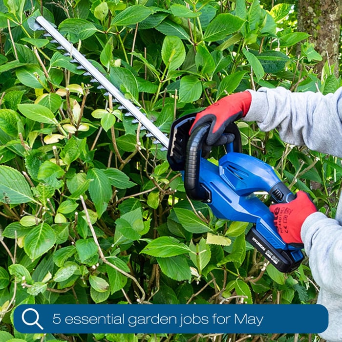 5 Essential Garden Jobs for May to get your garden Spring-ready!