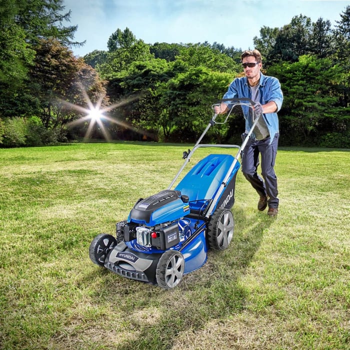 When Is the Best Time To Cut Your Grass After Winter?