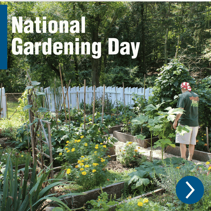 Celebrate National Gardening Day with Hyundai Garden Tools – April Gardening Jobs Made Easy