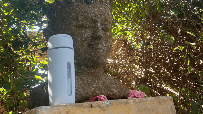 Butterfly Water: The Prettiest Hydration Hack