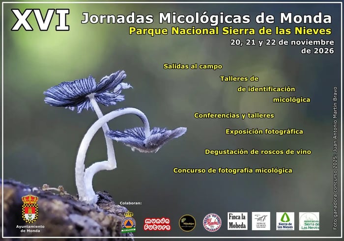 Jornadas Micológicas in Monda, Costa del Sol