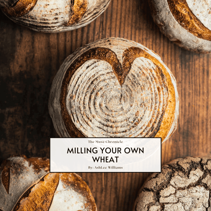 The True Value of Milling Your Own Wheat