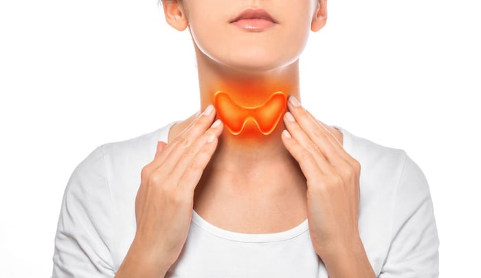 How To Maintain A Healthy Thyroid