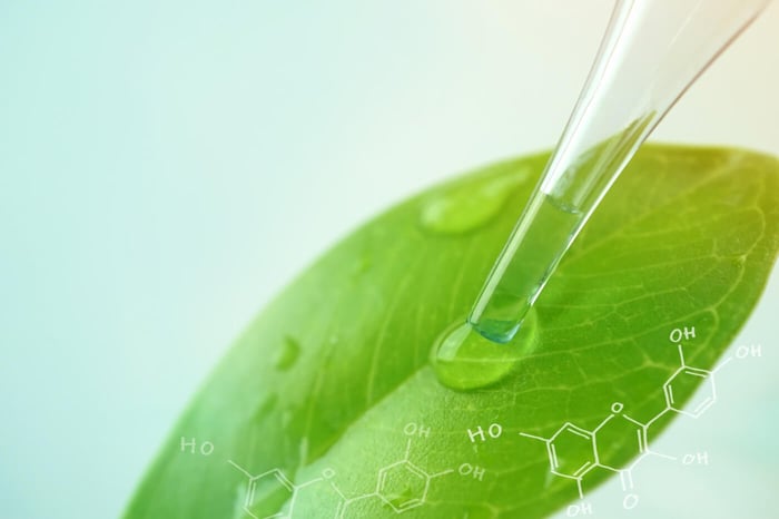 The Protective Qualities of Quercetin