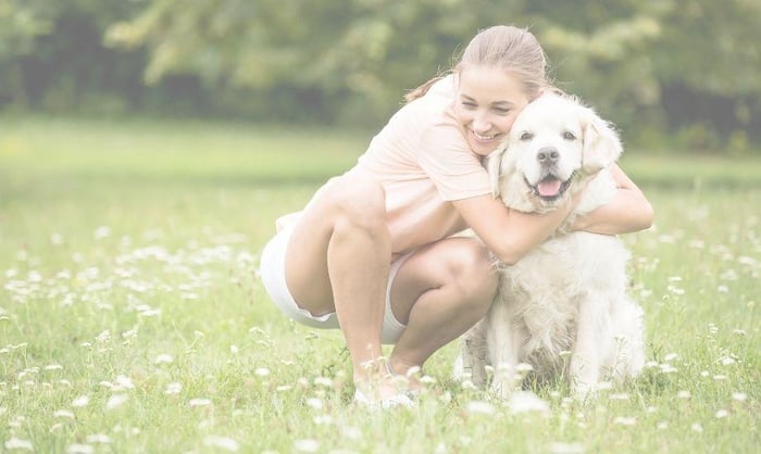 How To Celebrate Dog Appreciation Day