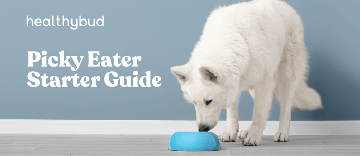 The Picky Eater Starter Guide Picky Dog