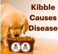 Kibble Causes Disease. We've Been Lied to.