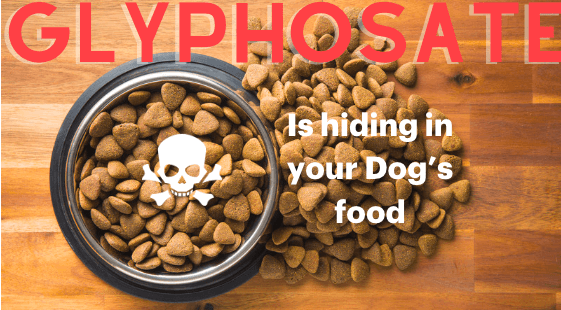 Glyphosate is in Your Dog's Kibble and It's a Problem