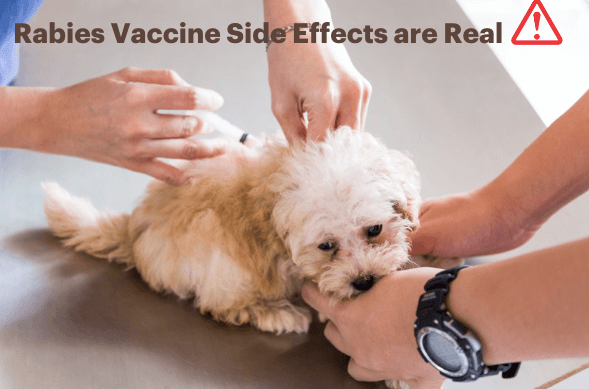 Rabies Vaccine Side Effects are Real