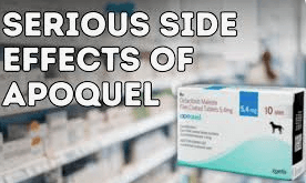 Apoquel is Not the Answer